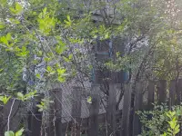 продаю дачу р-он Сабурханской ЦОФ, ДО Энтузиаст, фотография 2