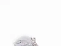 Тапочки smile of milady