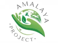 Видеограф, Фотограф, Мобилограф, фотография 2