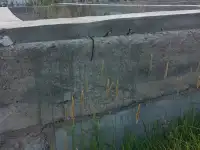 Дом, земельный участок 12 соток в посёлке Жибек-Жолы пригород Астаны, фотография 9