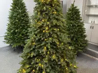 Ёлки в аренду  Ёлки в прокат, фотография 3