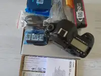 Canon 5D Mark IV, фотография 3