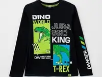 Лонгслив playtoday