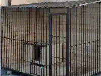 Вольер на заказ для собак, фотография 6