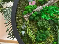 Живые картины, панно, декор из мха в Алматы., фотография 3