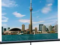 [lev-100103] экран на штативе lumien eco view 200x200 см matte white