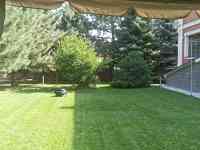 Услуги садовника и озеленение, фотография 6