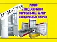Ремонт холодильников морозильников, фотография 3