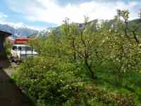 Плодовый сад, КХ, фотография 7