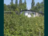 Продам дачу в Кумшагале, Нурлы 1, фотография 9