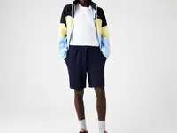 Мужские шорты lacoste