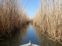 отдых рыбалка на Балхаше, фотография 2