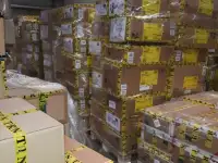 Сток Оптом Terranova Calliope в Москве, фотография 2