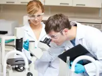 Судебная экспертиза в Алматы, фотография 2