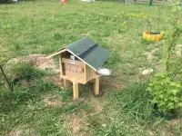 Шмелиная семья БиоИнновации Стандарт. Для опыления растений., фотография 2