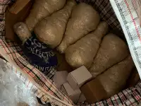 Продаётся готовый бизнес, фотография 4