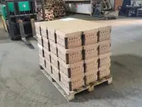 Шмелиная семья БиоИнновации Стандарт. Для опыления растений., фотография 7