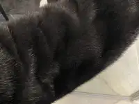 Норковая шуба, фотография 5