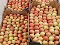 яблоки свежие, фотография 3