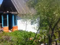 продажа дачи, скалистое.с.о.иртыш-3., фотография 5