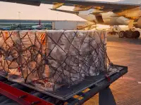 Профессиональный экспедитор из Китая, фотография 2