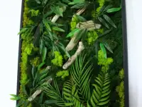 Картины из стабилизированного мха, фотография 2