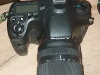 Sony A77II  объектив 18135mm SAM, фотография 5