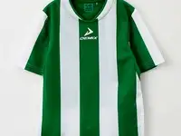 Футболка спортивная demix