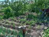 ПРОДАМ ДОМ В ДАЧНОМ КООПЕРАТИВЕ ТАМАРИКС зимний вариант, фотография 6