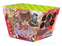 Салюты и фейерверки 24/7 круглый год! Праздник всегда рядом, фотография 7