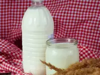Домашняя молочная продукция