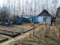 Продаётся дача 10 соток, Новопаловка, фотография 6