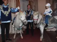 пони на Детский праздник, фотография 4