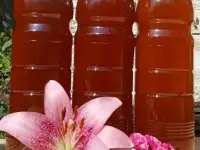 Мед пчелиный, натуральный, 2025 года., фотография 8