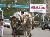 тамада, фотография 4