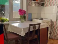 Продам уютный двор в черте города, Ул. Бажова д.163А, фотография 3