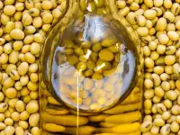 Продажа масла соевого оптом от производителя, фотография 4