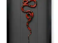 Пано Змеи. На заказ. Всех размеров и расцветок, фотография 4