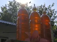 Мед пчелиный, натуральный, 2025 года., фотография 3