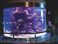 Изготовление аквариумов на заказ, фотография 2