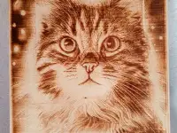 ЧПУ станок выжигатель, фотография 6