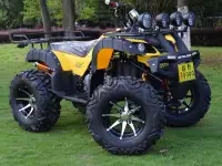 Квадроцикл на кардане 250сс, фотография 7