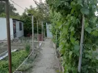 продам дом п.Меновное, меновное, пер. совхозный, фотография 7