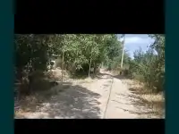 Продам дачу в Кумшагале, Нурлы 1, фотография 3