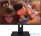 Монитор aiwa mf240b-l