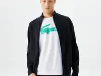 Мужской свитер lacoste