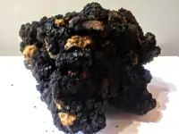 качественное Мумиё., фотография 5