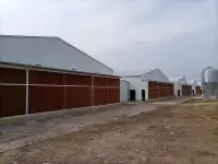 Оборудование  Big Dutchman для птицефабрики по выращиванию птиц из Китайского производителя , дешево и качественно!, фотография 5