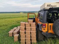 Шмелиная семья БиоИнновации Стандарт. Для опыления растений., фотография 9