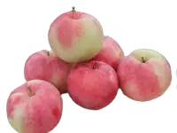 Яблоки Боровинка